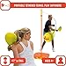 Mookie Championship Swingball – All Surface Portable Tether Tennis Set – Ages 4+