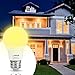 LOHAS Dusk to Dawn Sensor Light Bulbs, 40W Equivalent LED Outdoor Lighting, Warm White 2700K Automatic Photocell Light Bulb Outside, A19 6W Bright Porch Light Bulbs, 500LM E26 for Garage Patio,4 Pack