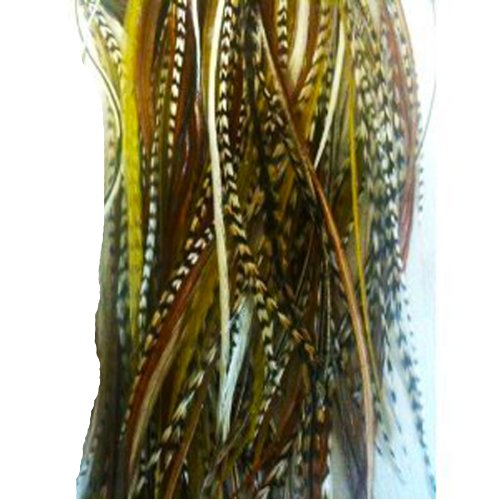 Natural Mix with Olive 8-12 Feathers for Hair Extension Bunched Together Salon Quality 5 Feathers! by SEXY SPARKLES Cover