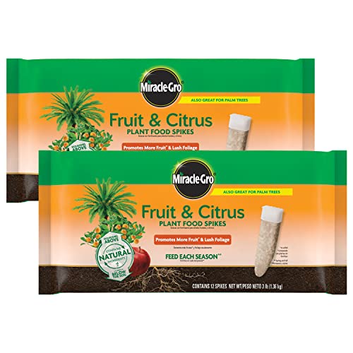 Image of Miracle-Gro Fruit & Citrus Plant Food Spikes, 12 Spikes, 3 lb. (2-Pack) | 10-15-15 NPK Easy-To-Use Nutrition for Fruit and Citrus Trees, Plant Fertilizer