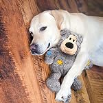 KONG - Wild Knots Bear - Internal Knotted Ropes and Minimal Stuffing for Less Mess - for Small/Medium Dogs (Assorted Colors) - Image 2