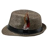 SILVERFEVER Fedora Hat with Feathers Gatsby Holiday Octoberfast Bavarian Alpine Trlbe Dress Up Hats...