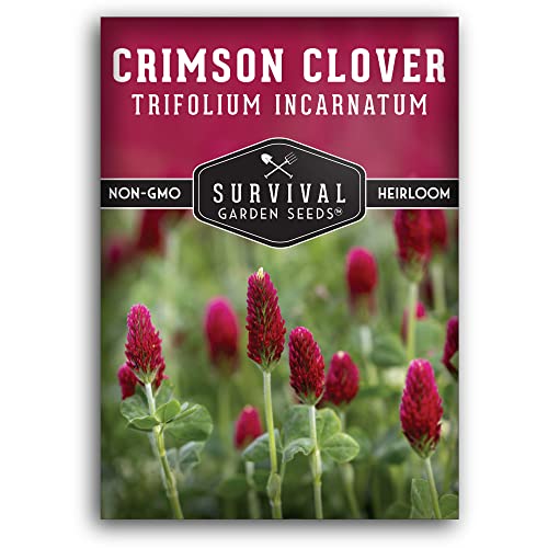 Crimson Clover Seeds for Planting - Heirloom Non-GMO Variety - Nitrogen Fixing Cover Crop Flowers...