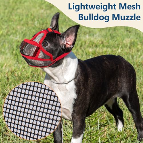 Maulkorb Hunde mit Kurzer Schnauze für Französische Bulldogge und Pitbulls, Abgeflachter Schnauze Hunde Maulkorb für Shih Tzu und Mops, Anti Beißen Kauen Bellen, ermöglichen Atmen und Trinken (Rot,S)