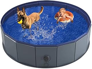 PetIsay Foldable Paddling Pools for Dogs & Kids - Thickened Material Dog Swimming Pool - Sturdy & Durable - Hard/Rigid Paddling Pool - Non-inflatable Non-slip Dog Bathtub(160 * 30cm)