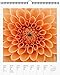 Flowers Page-A-Week Gallery Wall Calendar 2019