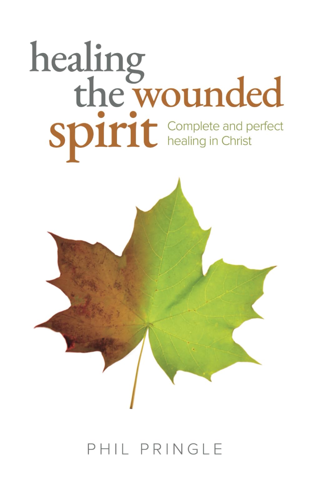 Healing The Wounded Spirit: Complete and perfect healing in Christ