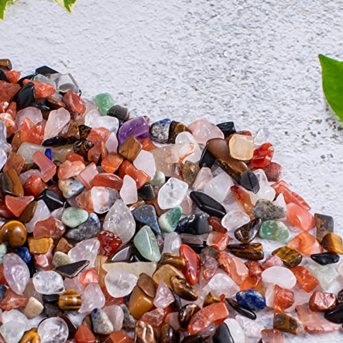 Forby Assorted Stone Tumbled Chips Stone Crushed Crystal Quartz Irregular Shaped Stones For Home Decorative Stones Vases Plants Succulents Cactus 1Pound(About 460 Gram) #TOP4