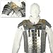 Lorica Segmenta Cuirass Roman Plate Armor - High Carbon Steel Scale Medieval Greek