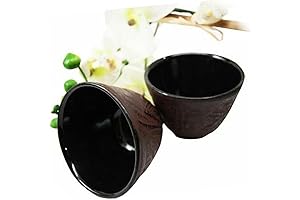Japanese Tetsubin Cast Iron Tea Cup Set for Special Occasions