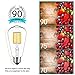 DORESshop Vintage LED Edison Bulb, 8W ST64(ST21) LED Filament Light Bulb, Warm White 2700K, E26 Base Squirrel-Cage Antique Lamp for Home Decor, Reading Room, Non-Dimmable, 4Pack