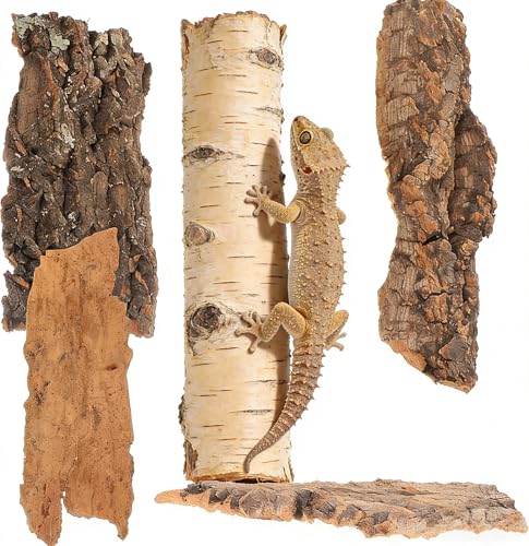 Image of Cork Bark for Reptiles, 4PCS Cork Terrarium Background, Pet Reptile Bark Bearded Dragon Tank Accessories for Bearded Dragon Lizard Geckos Tortoise, 3.2 to 5.5Inch