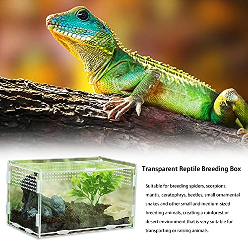 Reptiel voederdoos: transparante reptielkweekbox, huisdier acryl 360 graden hoge transparante magnetische klimdoek… - Afbeelding 5