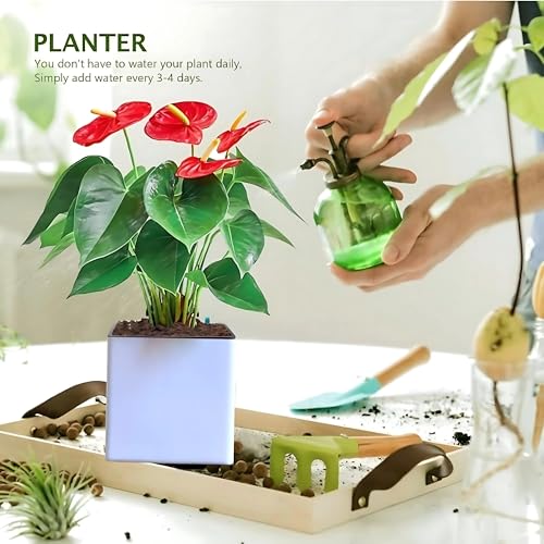 Image of Indian Discovery Self Watering Tabletop Planter| Flower Pots for Home, Terrace, Balcony, Vertical Garden Decor Flower Pots(1 PC, White, Square) |6 Inch UV-Resistant Plastic Plant Pots
