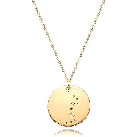 MEVECCO Gold Necklace Coin Disc Zodiac 12 Constellation Star Connected Engraved Horoscope Sign Astrology Pendant 18K Gold Plated Chain Dainty Personalized Simple Jewelry