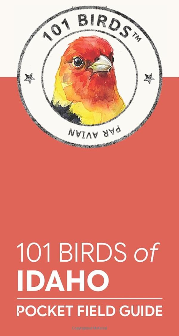101 Birds of Idaho: Pocket Field Guide (101 Birds Pocket Field Guides)
