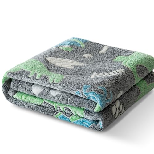 \tgt[XuPbggANZT[ԉOgp\t@Jo[uPbg