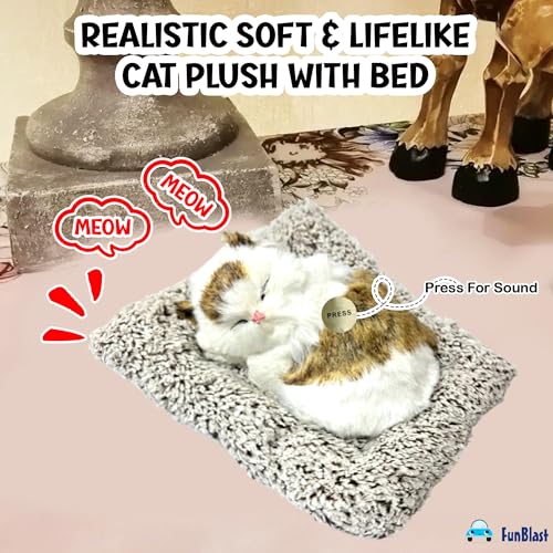 Image of FunBlast Cute Sleeping Cat Plush Toy with Meow Sound, Gift for Kids, Toy Accessories for Car Dashboard (Brown-1)