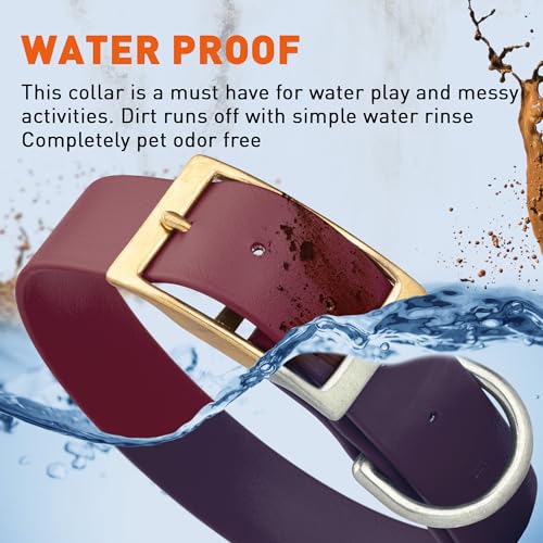 Image of Viper Biothane Heavy Duty Waterproof Dog Collar Strong Coated Nylon Webbing w /Solid Brass Hardware Odor-Proof Easy to Clean High Performance Fits Small Medium or Large Dogs, Merlot Burgundy