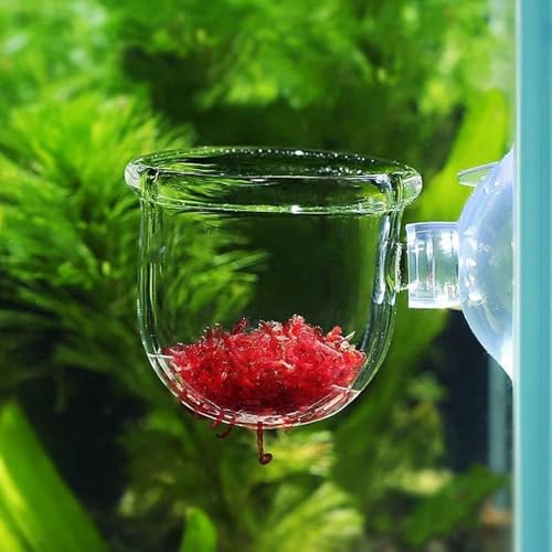 Image of 2Pcs Transparent Acrylic Aquatic Plant Cups with Suction - Aquarium Decoration 2 Shapes for Fish Tank Ornament