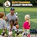 BB SWING CLUB PRO HITTING TRAINER, Pop-Up Baseball Trainer for Hitting Practice, Tee Popper Training Equipment with Ball Launcher Action, Skill Development Tool for Timing & Contact