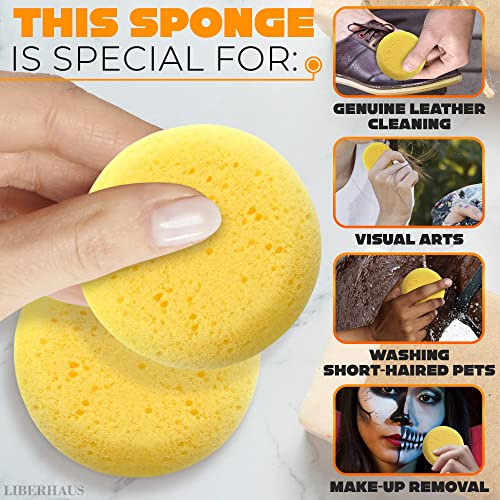 Hydra Sponge Confezione da 12 spugne Tack