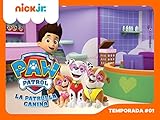  La Patrulla Canina Temporada 1