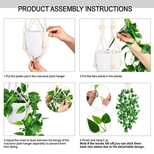 Consejos y comparativas para Comprar Plantas bambú gigante Top cinco. 20 Imagen adicional