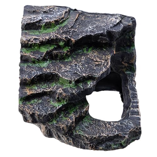 jkjblr J vbgtH[  ঒ bN B p tgASqQgJQp