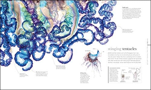 The Science of Animals: Inside their Secret World