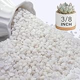 NUPICK 6 lbs Pebbles for Indoor Plants, 3/8 Inch Pea Gravel for Fish Tank, Polished Decorative Rocks for Succulent, Natural River Stones for Vases, Cactus, Landscaping, Bird Bath, Aquarium, White