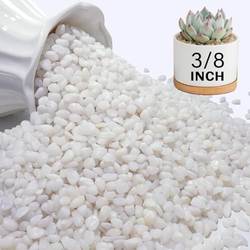 NUPICK 6 lbs Pebbles for Indoor Plants, 3/8 Inch Pea Gravel for Fish Tank, Polished Decorative Rocks for Succulent, Natural River Stones for Vases, Cactus, Landscaping, Bird Bath, Aquarium, White