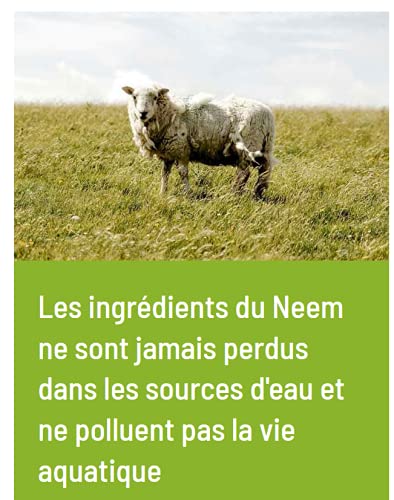 Wasserlösliches Neemöl für Tiere - 250 ml - BioCare - kaltgepresst - Bio-Zertifiziert