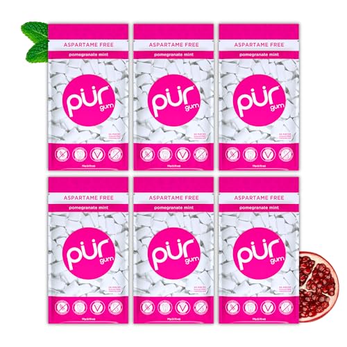 Image of PUR Gum | Aspartame Free Chewing Gum | 100% Xylitol | Natural Pomegranate Mint Flavored Gum, 55 Pieces (Pack of 6)