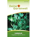 🌿 Für den eigenen Kräutergarten. Frische Kräuter selbst züchten und ernten. Entdecken Sie auch unsere weiteren Sorten und Sparsets.