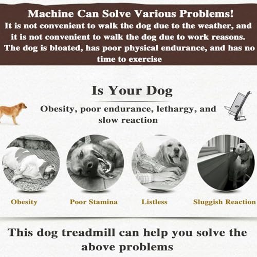 Dog Treadmill Safety Rails and Leash Attachment