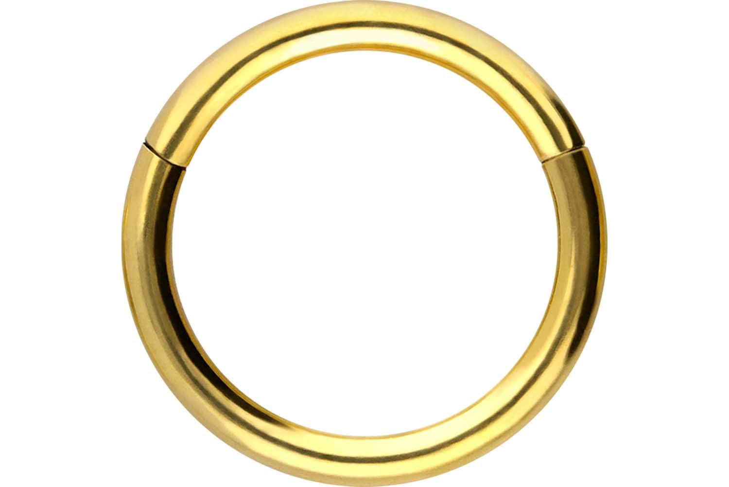 PIERCINGLINE Anillo segmento Clicker de acero quirúrgico – Piercing en oro, plata, rosa, negro o azul – para nariz, tabique, oreja, hélice o tragus — view 134