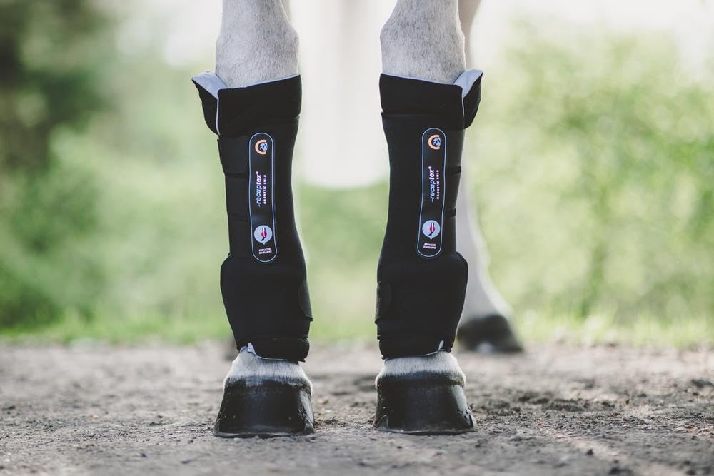 Kentucky - Stallstiefel - Recuptex - Schwarz