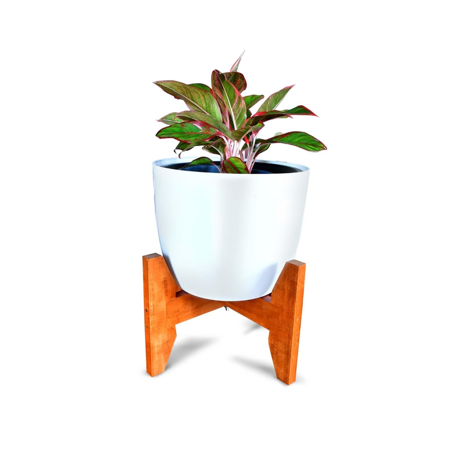 See full amazon price history chart for Wooden Plant Pot Holder for Both Indoor and Outdoor Space Wooden Plant Pot Holder for Both Indoor and Outdoor Space (B0CNDBTPYZ) Amazon Price History, Amazon Price Tracker