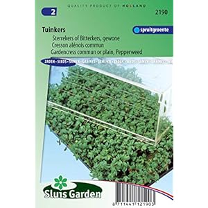 Basilicum, Sweet Large Leaved – Herb Seeds