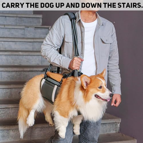 COODEO Mobility Dog Lift Harness, Emergency Carry Sling, Pet Rear Leg Support Rehabilitation Lifts Vest, Dog Carrier for Senior Dogs Joint Injuries, Arthritis (Military Green, L) - Image 5