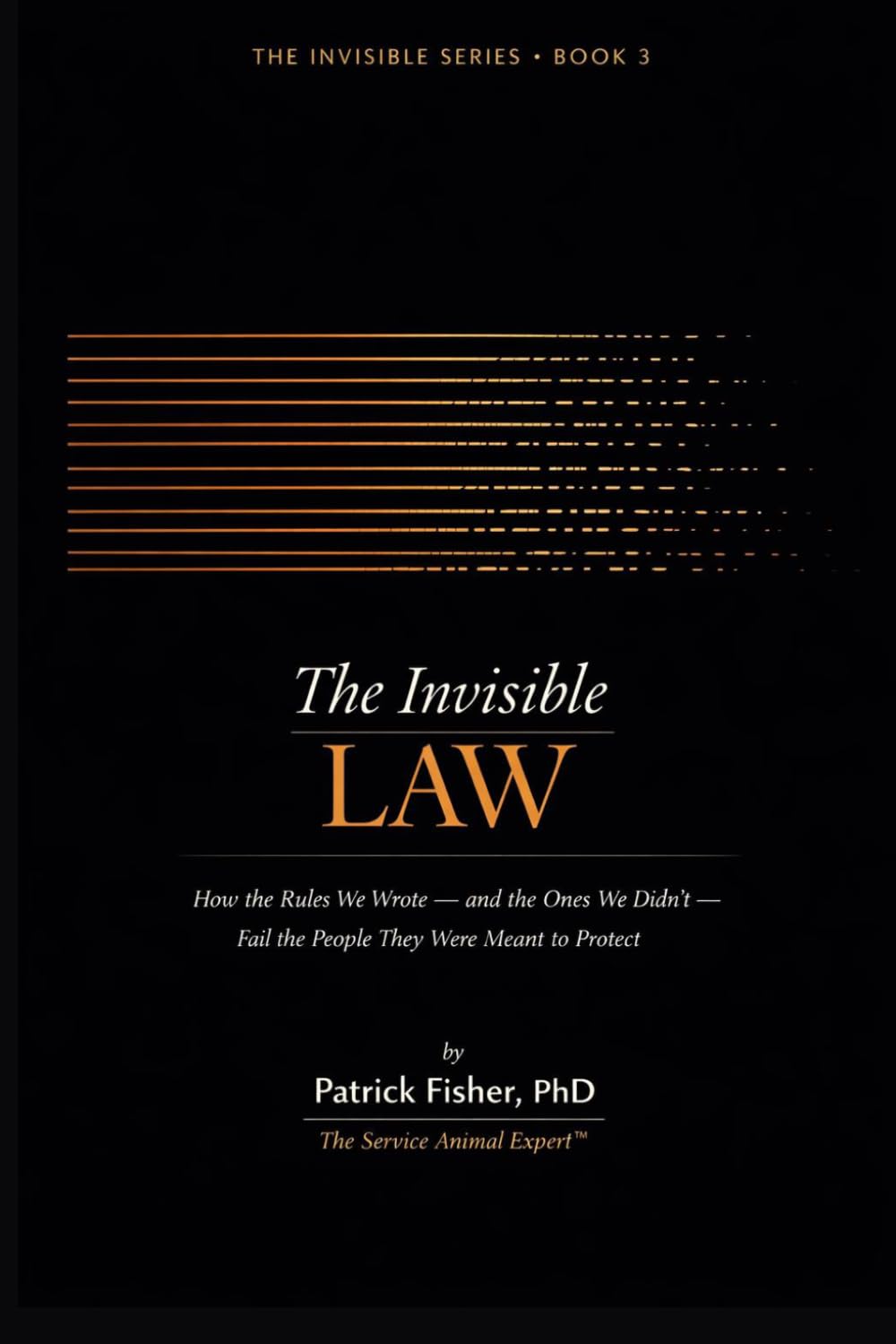 The Invisible Law: How the Rules We Wrote — And the Ones We Didn’t — Fail the People They Were Meant to Protect (The Invisible Series)