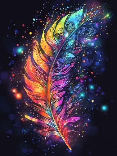 Diamond Painting Complet Plume Couleurs | Kit 5D DIY Full Drill 40x55cm