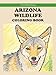 Arizona Wildlife Coloring Book (Travel Palette Coloring Books)