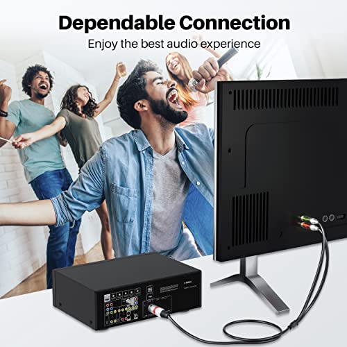 Gearit Xlr Male To 2 Rca Male Y-Splitter Cable (3.3Ft) Dual 2 Rca To 1 Xlr Male To Male - Unblance Plug For Home Theater Mixers Amplifiers Hi-Fi Systems Microphone, 3.3 Feet #TOP4