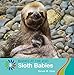 Sloth Babies (21st Century Basic Skills Library: Level 3: Babies at the Zoo)