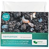nemamax Nematodi contro le cavaliere (cavaliere di spesso) e gli stranieri 10 milioni per 40 mq