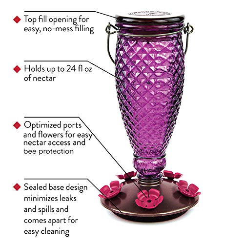 Perky-Pet 9102-1Sr Purple Diamond Wine Top Fill Glass Hummingbird Feeder With Built-In Bee Guards - Outdoor Garden Décor - 24 Oz #TOP7