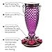 Perky-Pet 9102-1SR Purple Diamond Wine Top Fill Glass Hummingbird Feeder with Built-in Bee Guards - Outdoor Garden Décor - 24 Oz