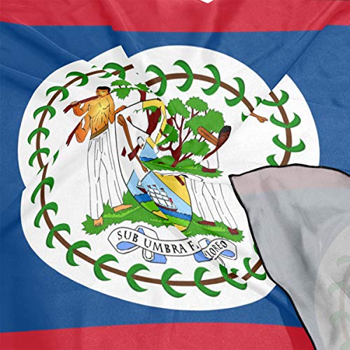 super3Dprinted BELIZE Flag Women's Square Scarf Neck Head Scarf 23.6 x 23.6 inches with 10 bobby pins4